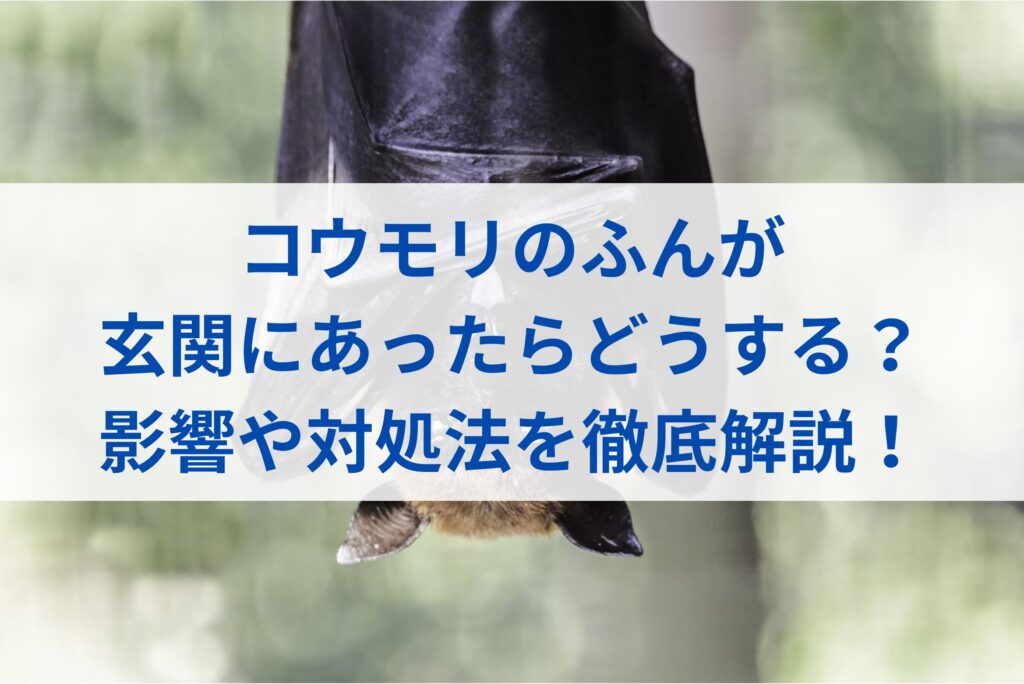 コウモリのふんが玄関にあったらどうする？影響や対処法を徹底解説！