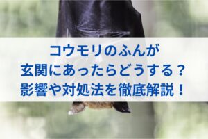 コウモリのふんが玄関にあったらどうする？影響や対処法を徹底解説！