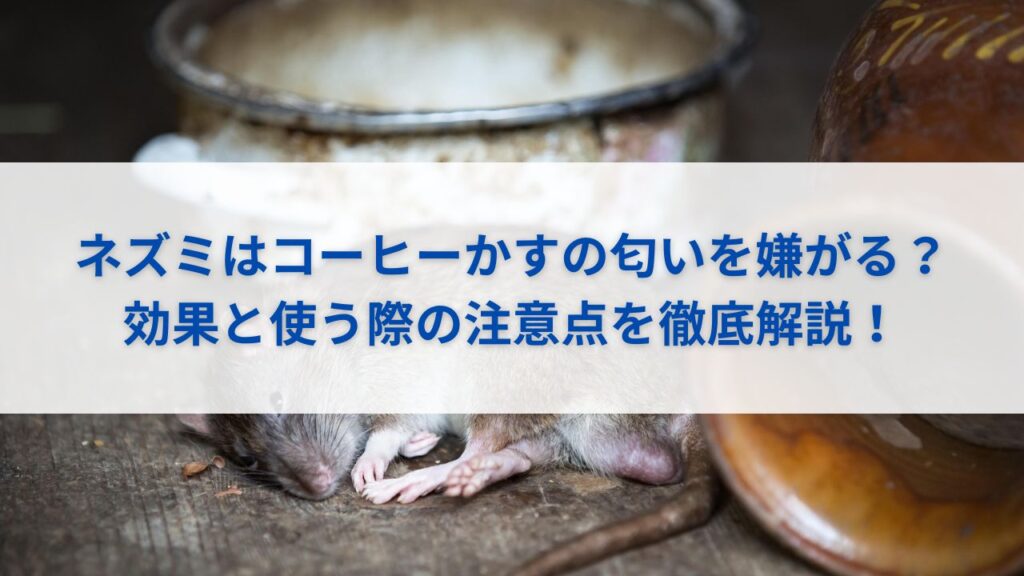 ネズミはコーヒーかすの匂いを嫌がる？効果と使う際の注意点を徹底解説！