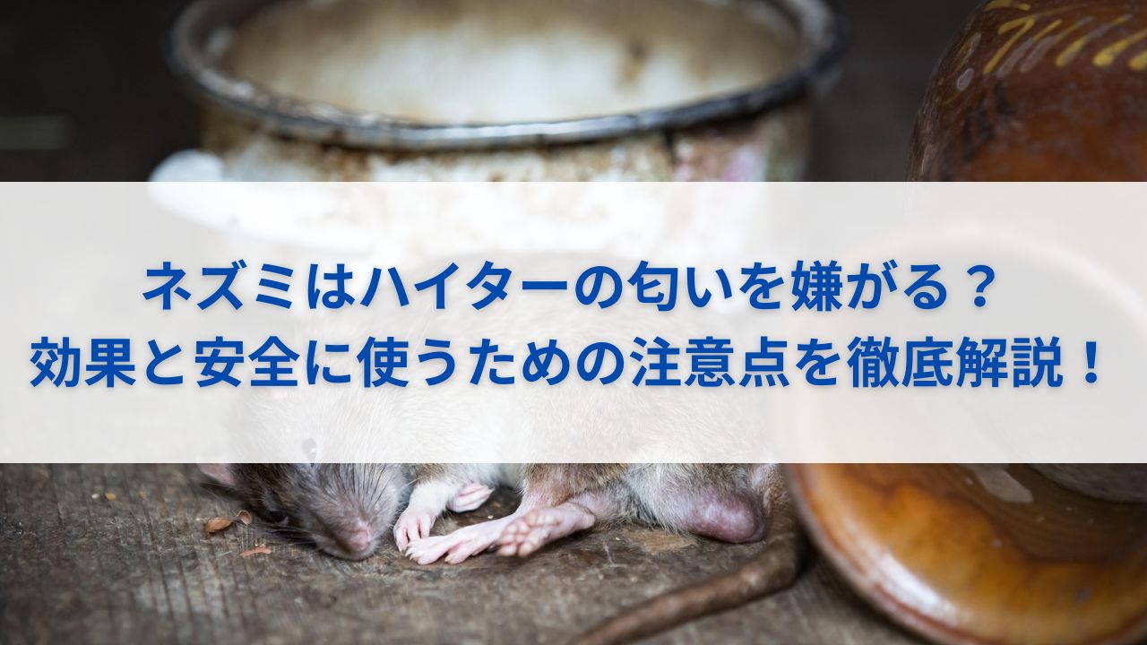 ネズミはハイターの匂いを嫌がる？効果と安全に使うための注意点を徹底解説！