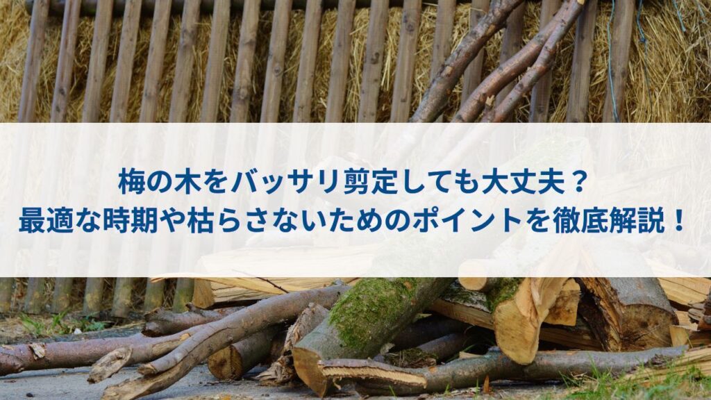 梅の木をバッサリ剪定しても大丈夫？最適な時期や枯らさないためのポイントを徹底解説！