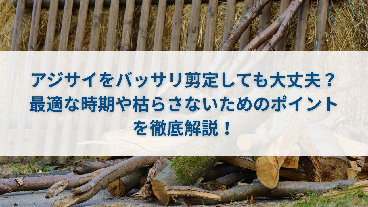 アジサイをバッサリ剪定しても大丈夫？最適な時期や枯らさないためのポイントを徹底解説！
