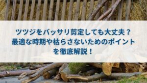ツツジをバッサリ剪定しても大丈夫？最適な時期や枯らさないためのポイントを徹底解説！