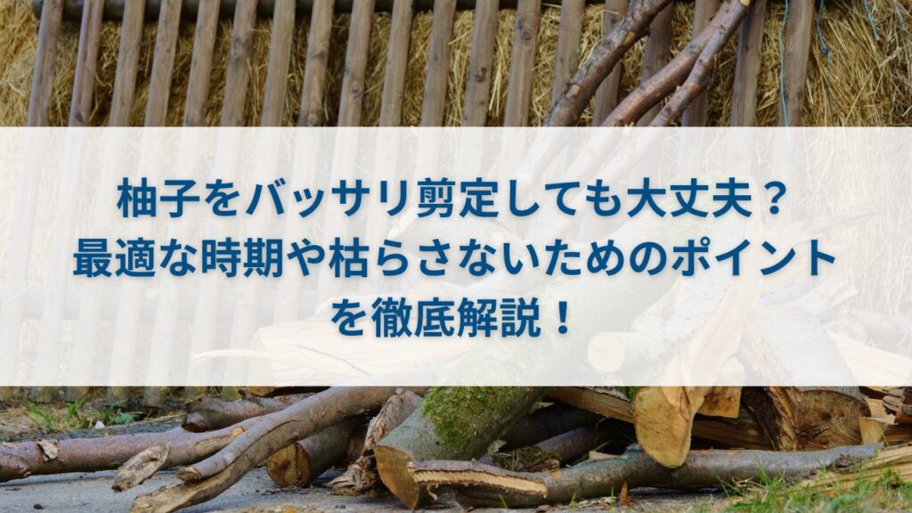 柚子をバッサリ剪定しても大丈夫？最適な時期や枯らさないためのポイントを徹底解説！